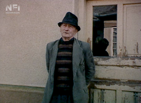 A látogatás ( B.Révész László, 1982)