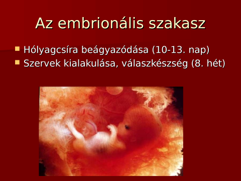 Embrionális szakasz