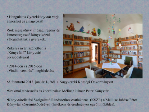A csatlakozási regény